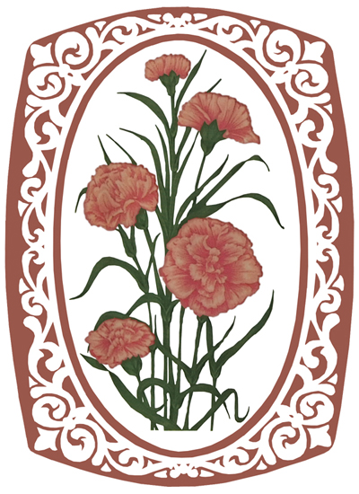 Carnation Pink